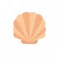 Coquille de saumon