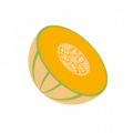 1/2 melon Français